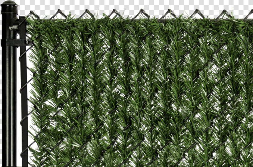 Best Chain Link Fence Slats  HD Png DownloadTransparent PNG