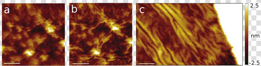 Rippling Of Graphene Induced By Stm Tip   Flame  HD Png DownloadTransparent PNG