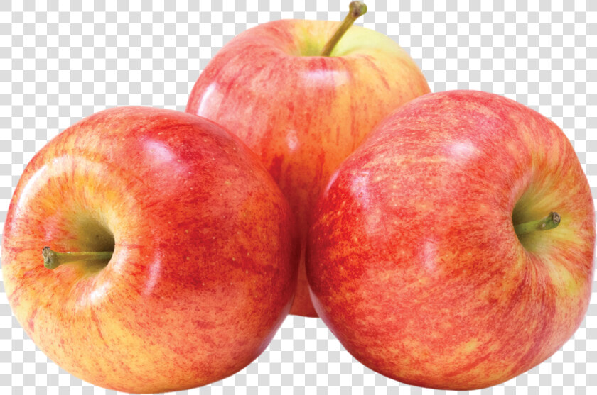 Transparent Apple Png Image   Fuji Or Gala Apples  Png DownloadTransparent PNG