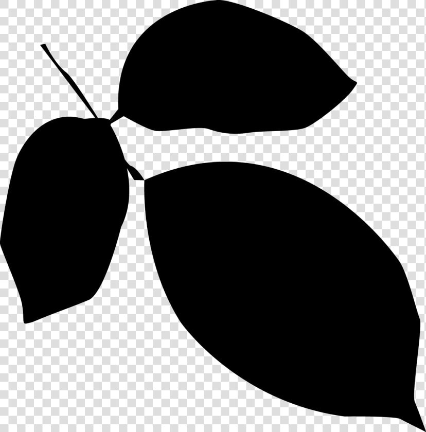 Free Vector Leaves Silhouette At Getdrawings   Vector Graphics  HD Png DownloadTransparent PNG