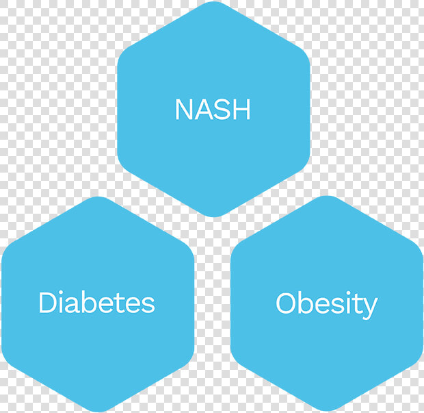 Nash Diabetes  HD Png DownloadTransparent PNG