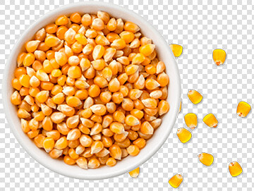 Kernels In A Bowl  HD Png DownloadTransparent PNG