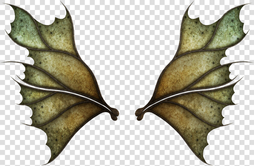 Realistic Fairy Wings Png   Png Download   Dark Fairy Wings Png  Transparent PngTransparent PNG