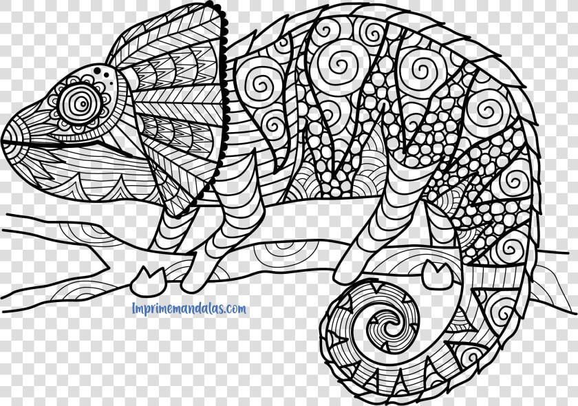 Mandala De Conejo U2022 Imprime Mandalas   Chameleon Zentangle  HD Png DownloadTransparent PNG