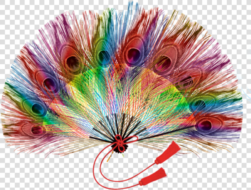  mq  peacock  feathers  fan  handfan   Peacock Feather Fan Art  HD Png DownloadTransparent PNG