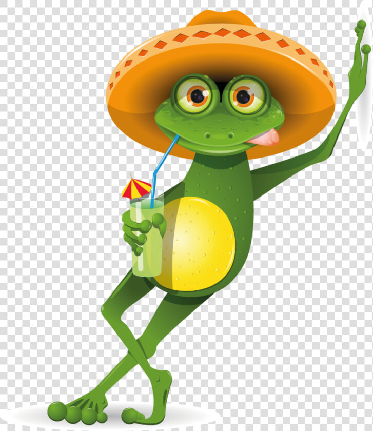 Frosch Bild  HD Png DownloadTransparent PNG