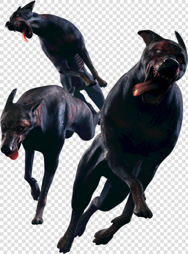 Resident Evil 6 Leon Renderresident Evil Zombie Dogs   Resident Evil Operation Raccoon City  HD Png DownloadTransparent PNG