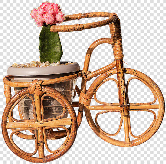 Framed Art For Your Wall Trim Cactus Bamboo Bike Graft   Bicicleta De Jardim Png  Transparent PngTransparent PNG