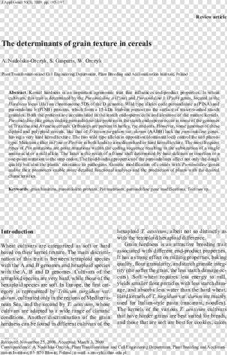 Essay  HD Png DownloadTransparent PNG