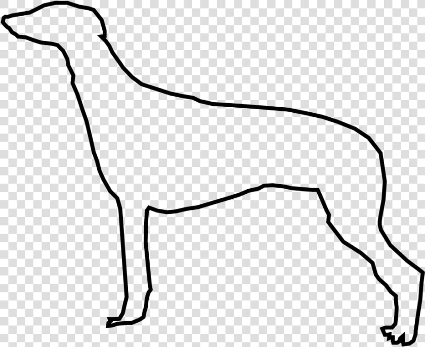 Rampur Greyhound  HD Png DownloadTransparent PNG