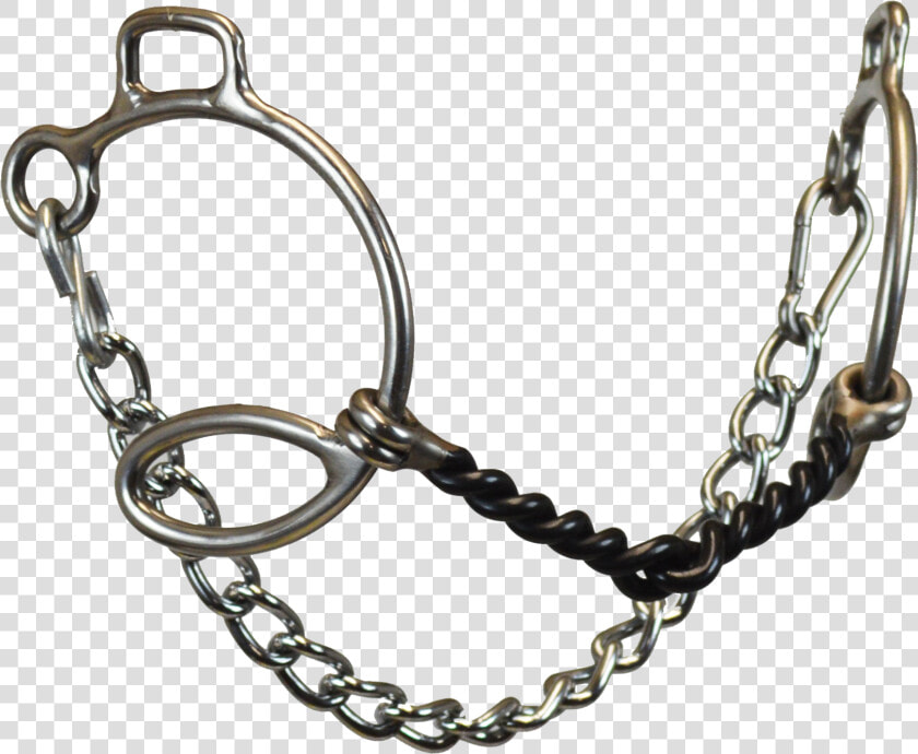 Stainless Steel 66 Cheeks Gag With Sweet Iron Twisted   Chain  HD Png DownloadTransparent PNG