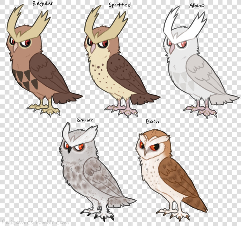 Regular Spotted Albino Snowy Barn Elicomics   Owl Pokemon  HD Png DownloadTransparent PNG