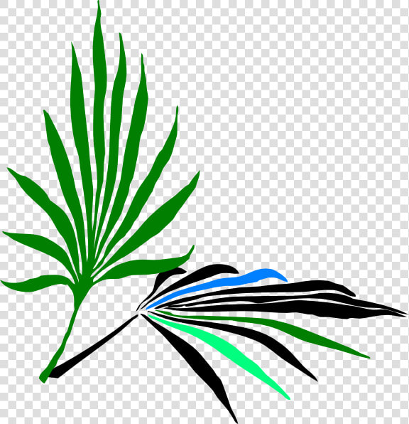 Leaves Clip Art At   Palm Frond Clip Art  HD Png DownloadTransparent PNG