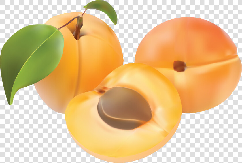 Peaches Png Image   Abricot Clipart  Transparent PngTransparent PNG