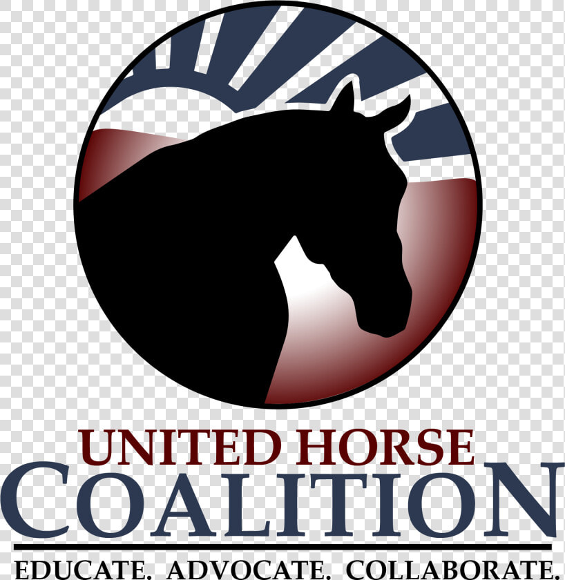 Uhcnlogo2019   Rwb   Transparent   Poster  HD Png DownloadTransparent PNG