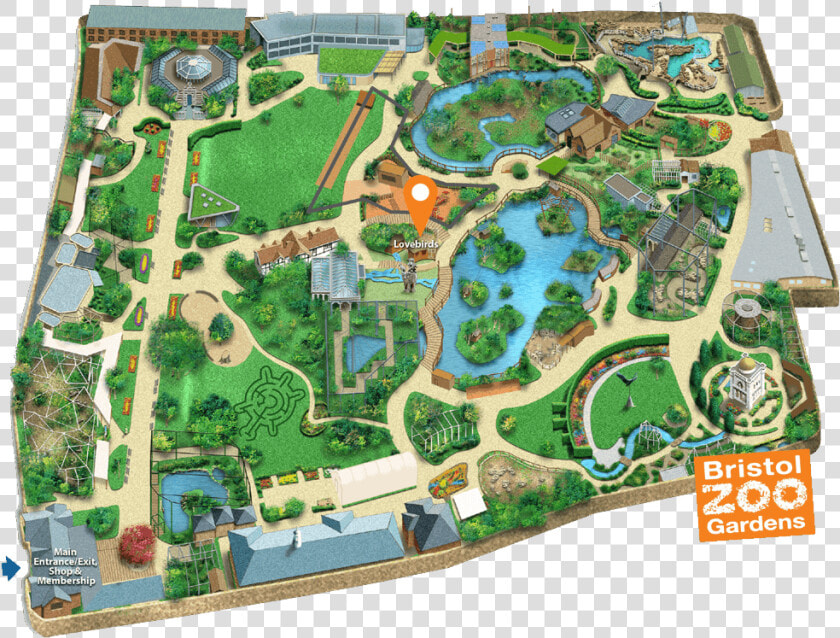 Bristol Zoo Gardens Map   Bristol Zoo Lion Enclosure  HD Png DownloadTransparent PNG