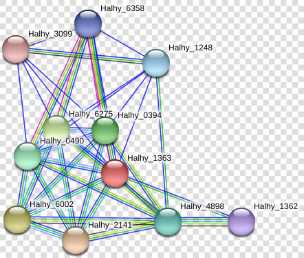 Halhy 1363 Protein   Circle  HD Png DownloadTransparent PNG