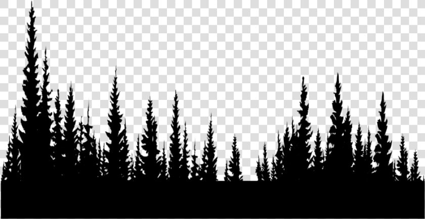  freetoedit  trees  silhouette  black  forest  inthedistance   Shortleaf Black Spruce  HD Png DownloadTransparent PNG