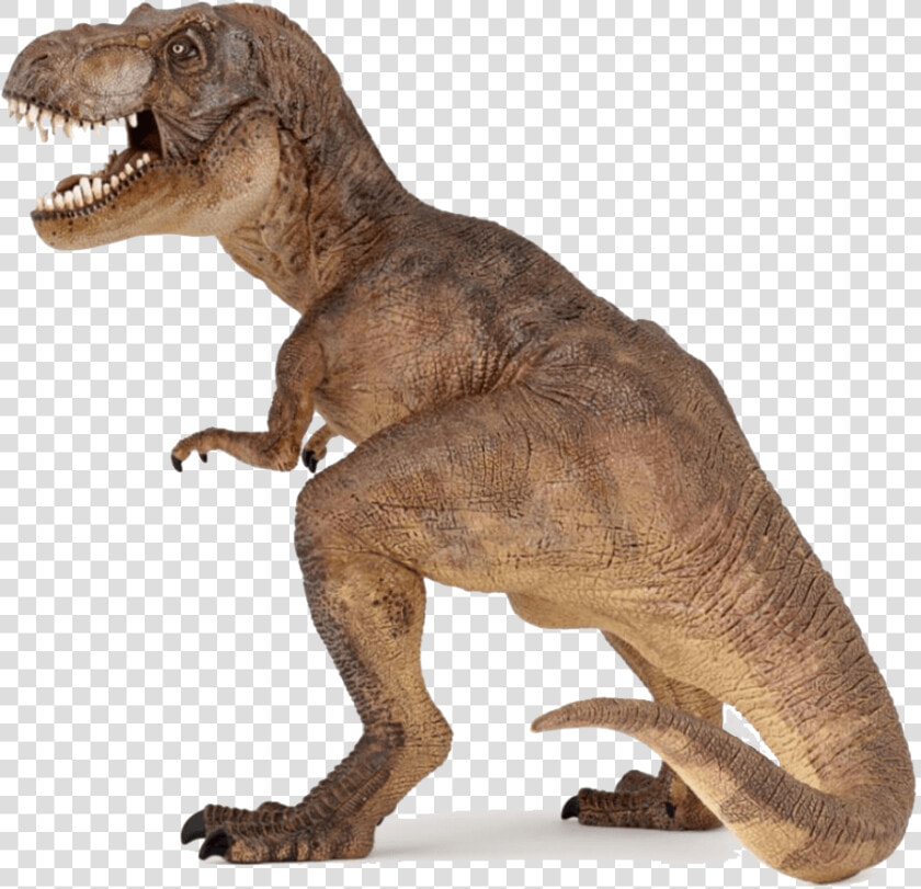 Trex Png  Transparent PngTransparent PNG