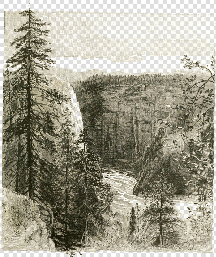 The Canon A Quarter Of A Mile Below The Grand Falls   Larch  HD Png DownloadTransparent PNG