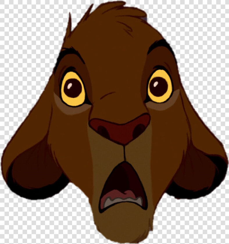 Mufasa Clipart Lion Cub   Lion King Simba Shocked  HD Png DownloadTransparent PNG