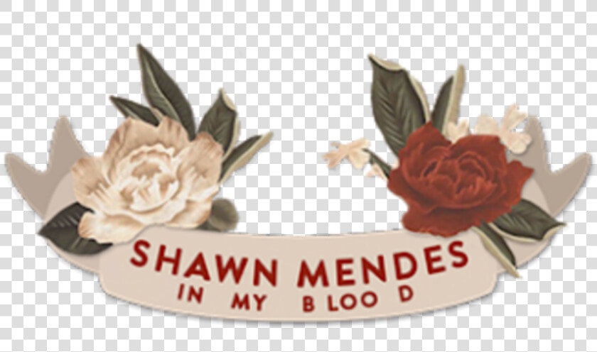  inmyblood  shawnmendes in My Blood   Shawn Mendes In My Blood Png  Transparent PngTransparent PNG