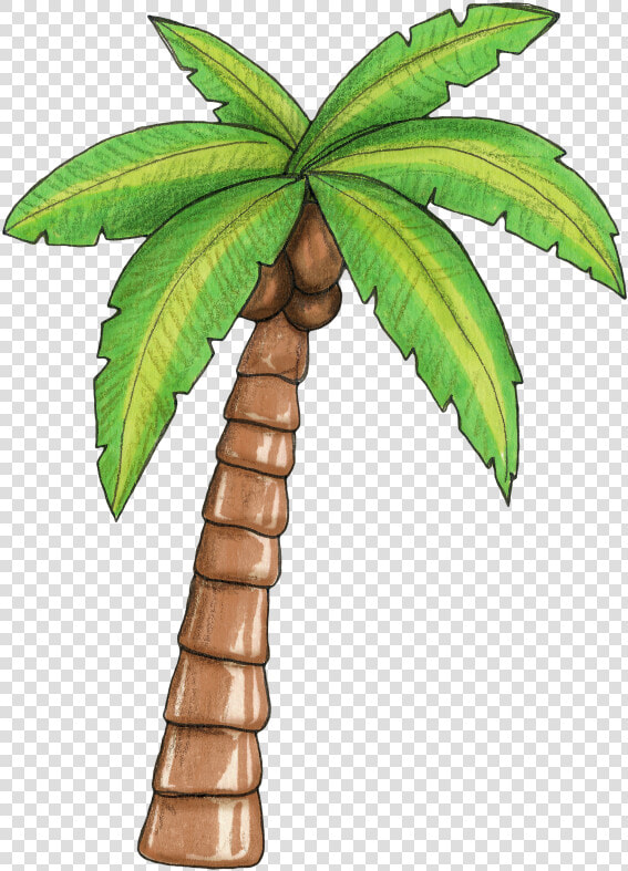 Pin By Tatimaia On Moana Baby Pinterest Moana   Moana Palm Tree  HD Png DownloadTransparent PNG