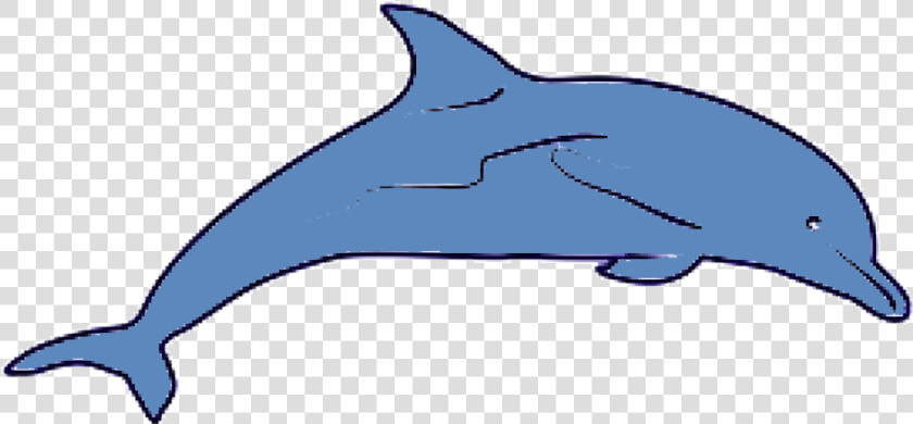 Delfin Gif Images Download Gif Delfin Gif  HD Png DownloadTransparent PNG