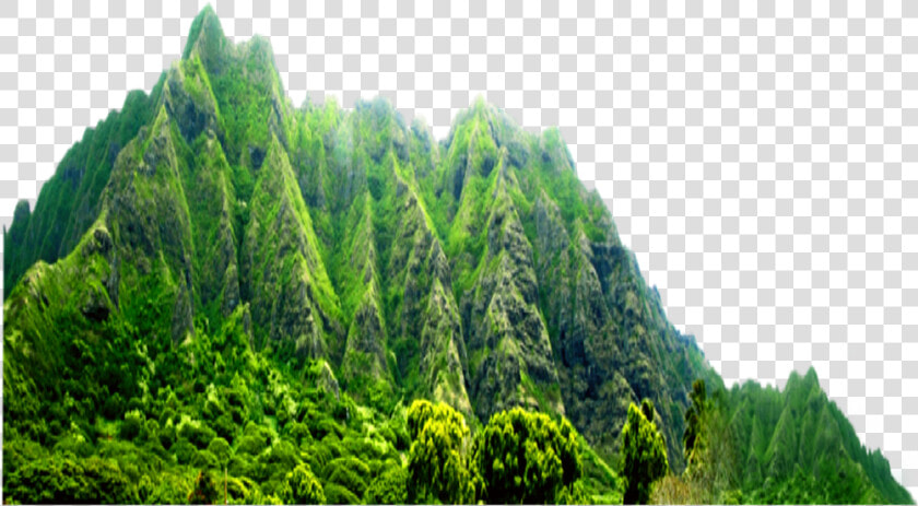  mountain  mountains  hill  hills  green  greentrees  HD Png DownloadTransparent PNG