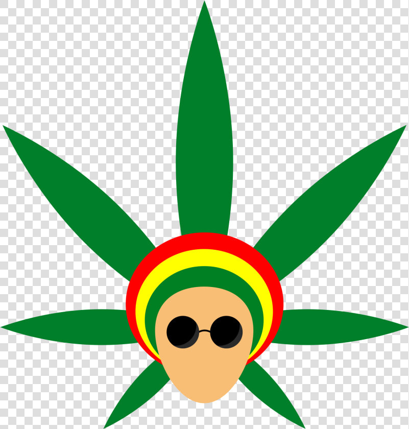 Plant flower leaf   Reggae  png  Transparent PngTransparent PNG