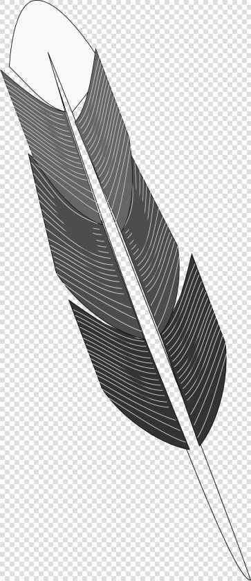 Grayscale Feather Clip Arts   Grayscale Feather  HD Png DownloadTransparent PNG