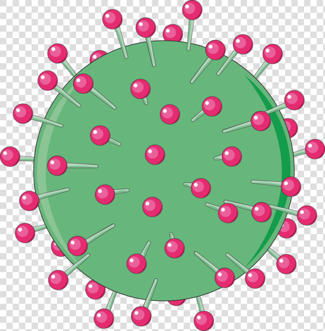 Virus Hepatitis B No Background  HD Png DownloadTransparent PNG