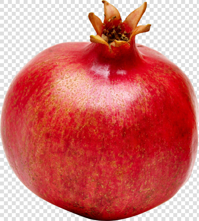 Pomegranate   Pomegranate Png  Transparent PngTransparent PNG