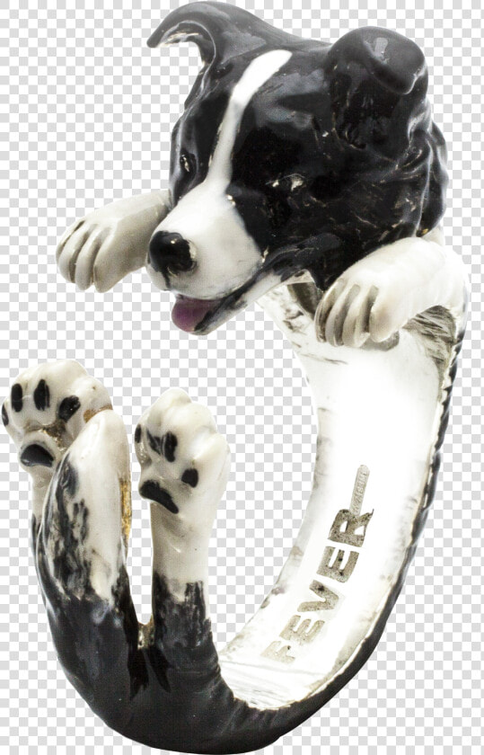 Border Collie Ring  HD Png DownloadTransparent PNG