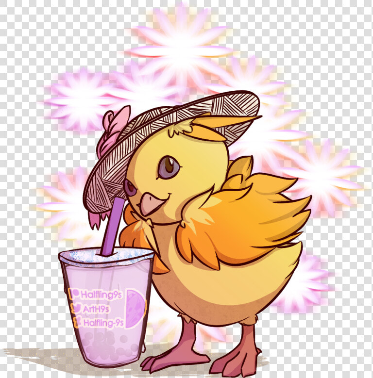 Torchic Png  Transparent PngTransparent PNG