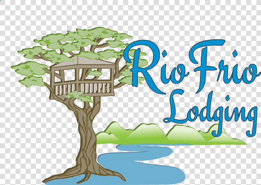 Rio Frio Lodging   Tree  HD Png DownloadTransparent PNG