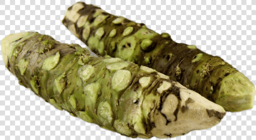 Fresh Wasabi Root Sticks   Wasabi Root  HD Png DownloadTransparent PNG