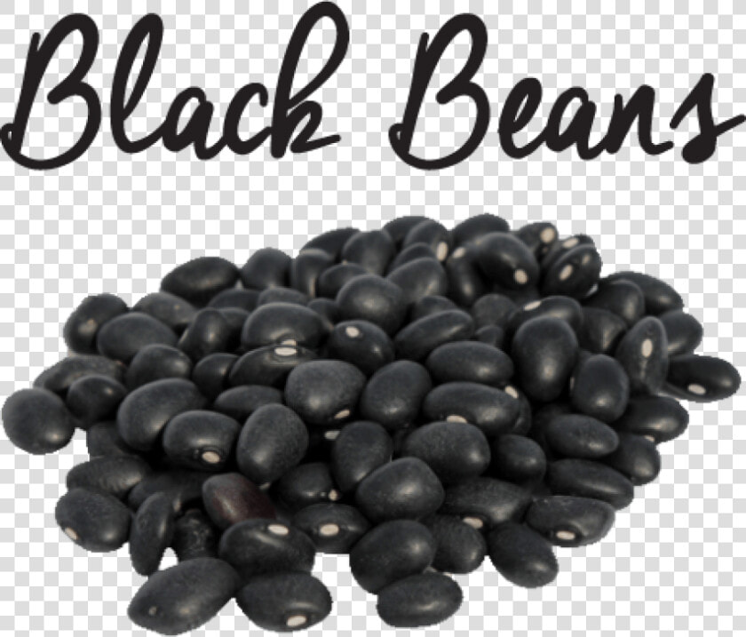 Png Black Beans   Black Beans In Urdu  Transparent PngTransparent PNG