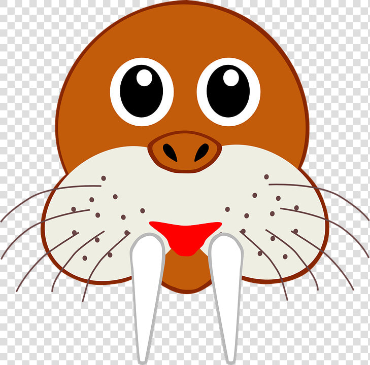 Walrus  Head  Face  Wild  Animal  Mammal  Sea  Water   Mascara De Una Morsa  HD Png DownloadTransparent PNG