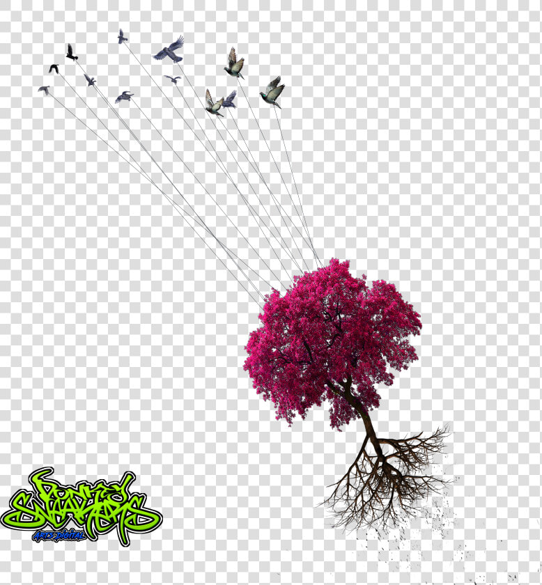 Birds Taking Tree Png Donkeysneakers   Nurhayat Şuara Sözleri  Transparent PngTransparent PNG