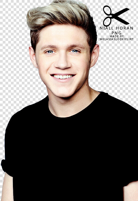 Transparent Niall Horan Png   One Direction Niall  Png DownloadTransparent PNG