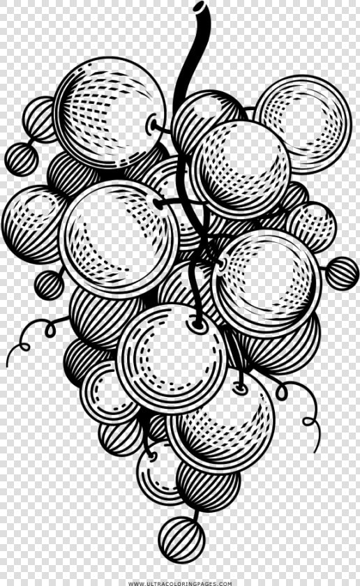 Uvas Página Para Colorear   Png Grape Black White  Transparent PngTransparent PNG