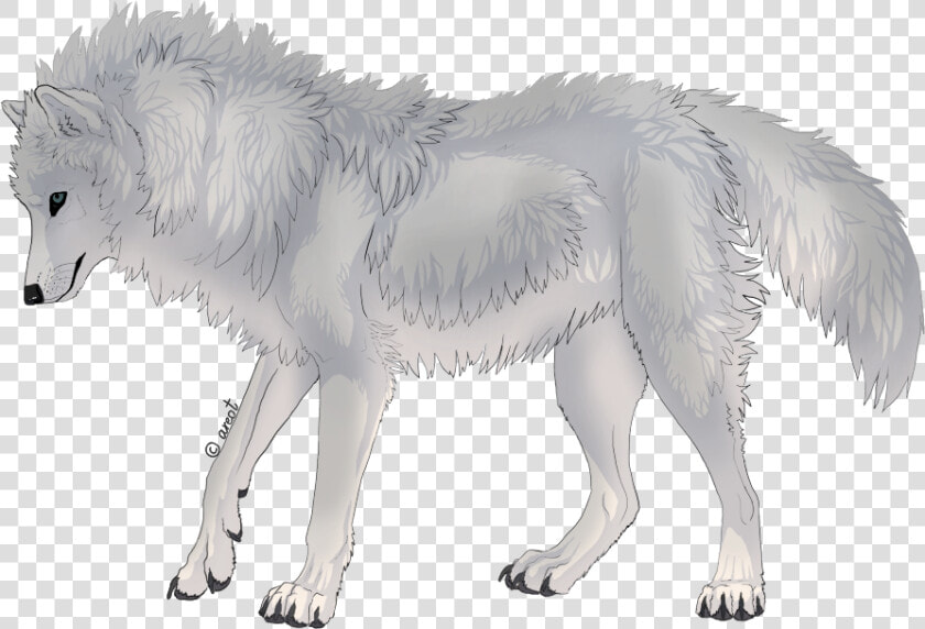 Canis Lupus Tundrarum  HD Png DownloadTransparent PNG