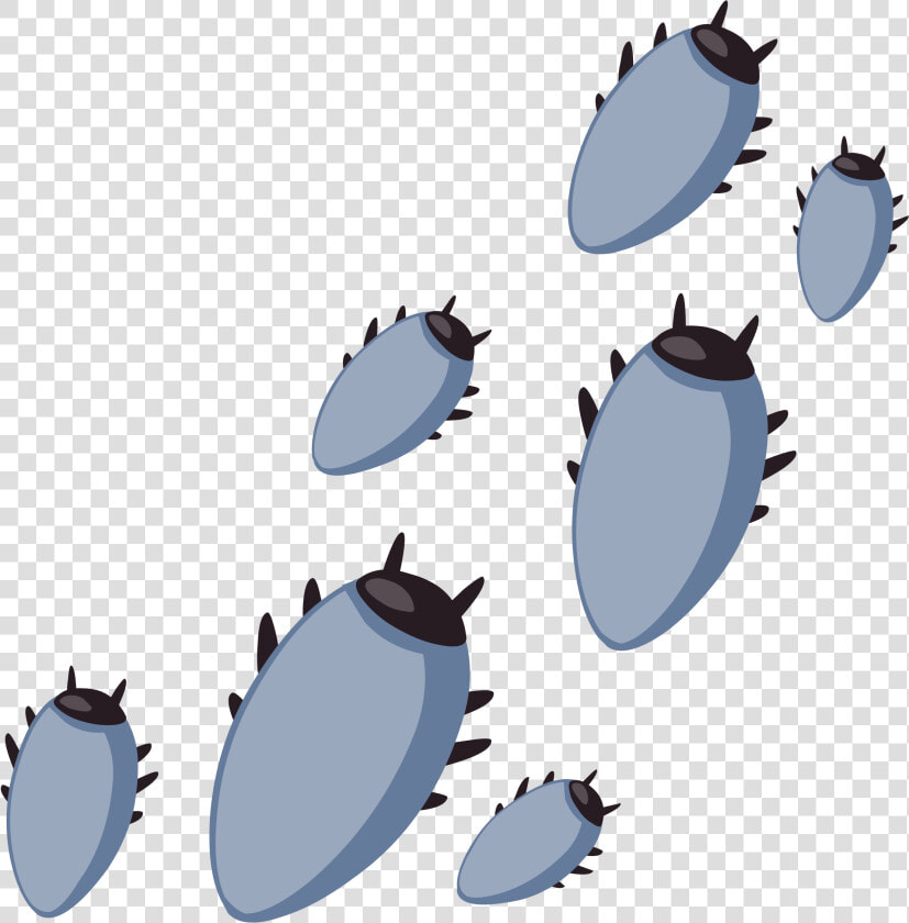 Ilmenskie Bugs 1 Clip Arts   Insect  HD Png DownloadTransparent PNG