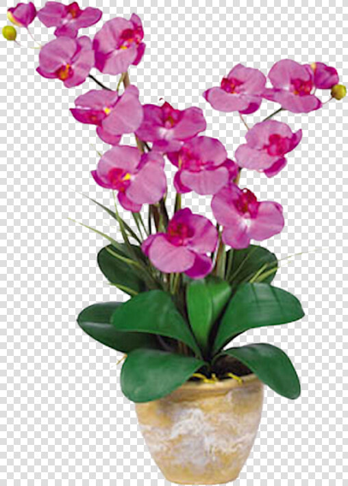 Orchid Double Stem Phalaenopsis Silk Orchid Arrangement  HD Png DownloadTransparent PNG