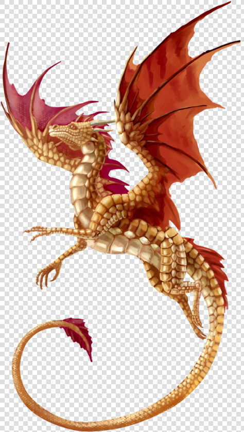 T shirt Dragon Fantasy   Transparent Background Transparent Dragon  HD Png DownloadTransparent PNG