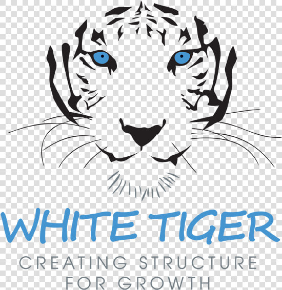 White Tiger   Christmas White Tiger  HD Png DownloadTransparent PNG