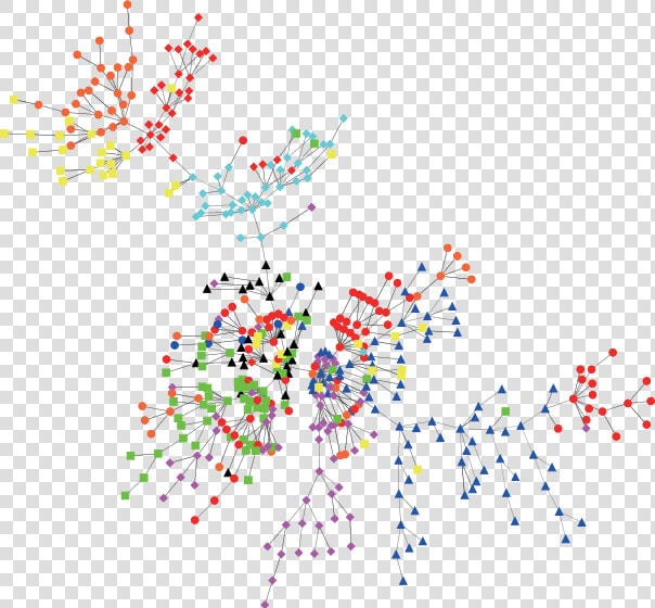 Stocks Minimum Spanning Tree  HD Png DownloadTransparent PNG