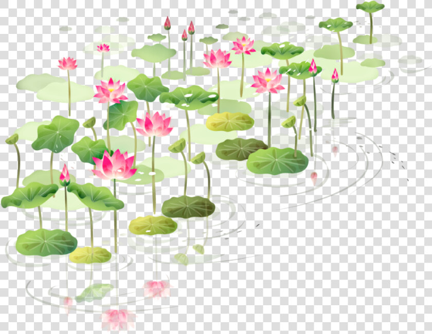 Drawn Lotus Shapla   Floral Lotus Frame Png  Transparent PngTransparent PNG