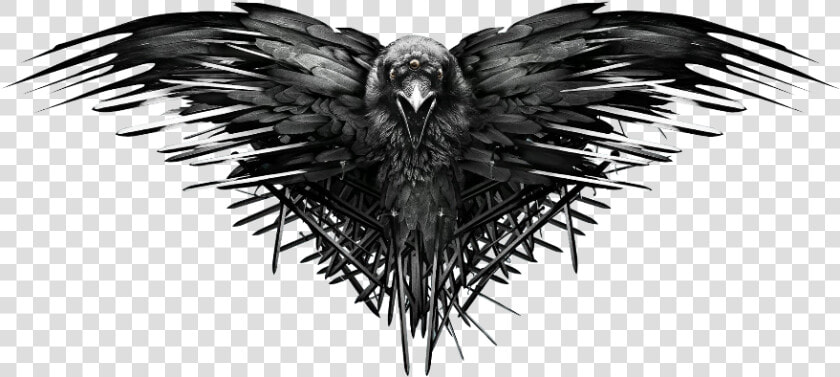  mq  black  crow  bird  birds  animal   Game Of Thrones Transparent Background  HD Png DownloadTransparent PNG